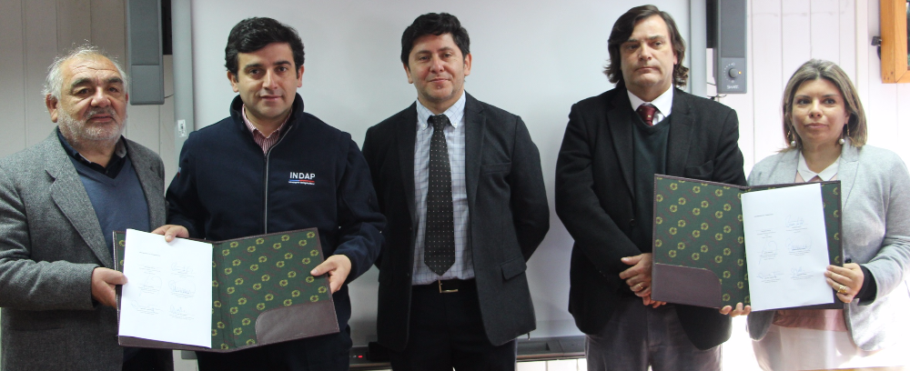 apl mermeladas maule firma apl mermeladas